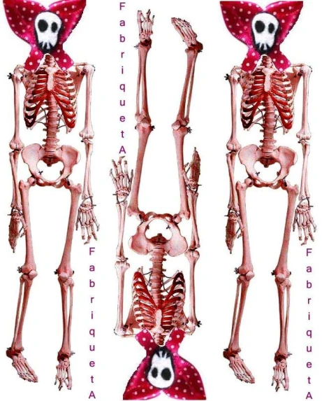 three pictures showing different angles of skeleton in a pink dress