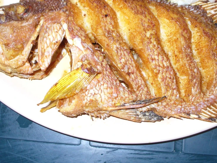 cooked fish are arranged on a white plate