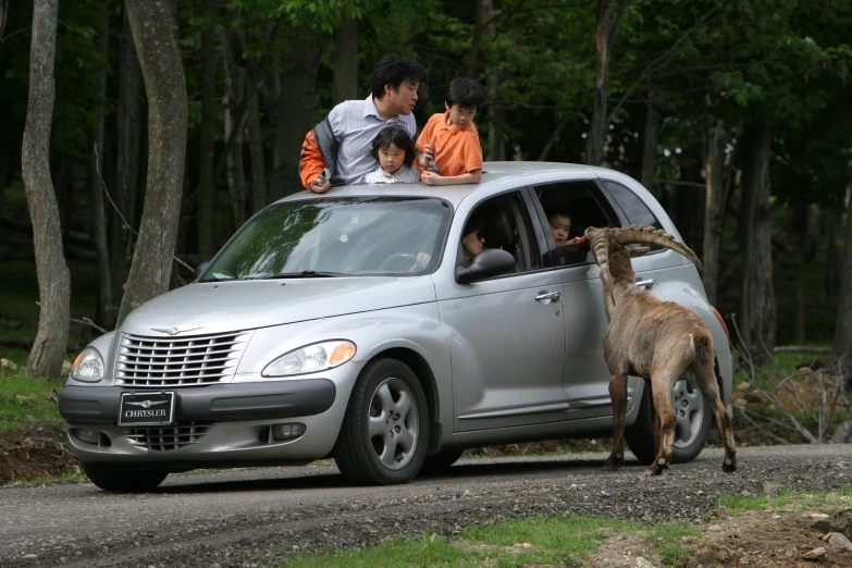 a couple of people sitting on the roof of a car