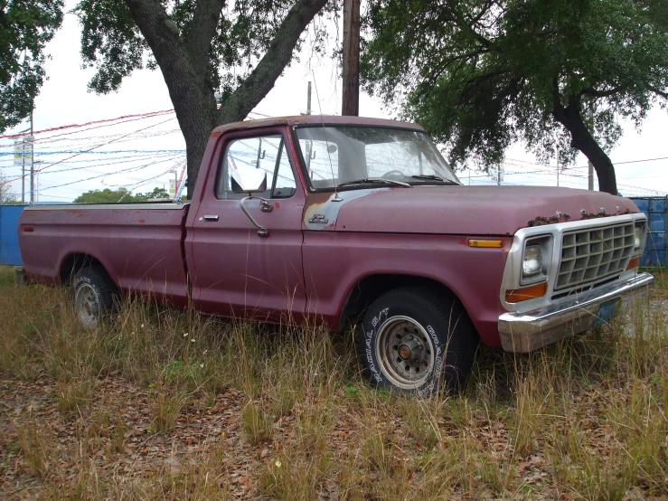 old red truck sitting in weeds outside near two trees