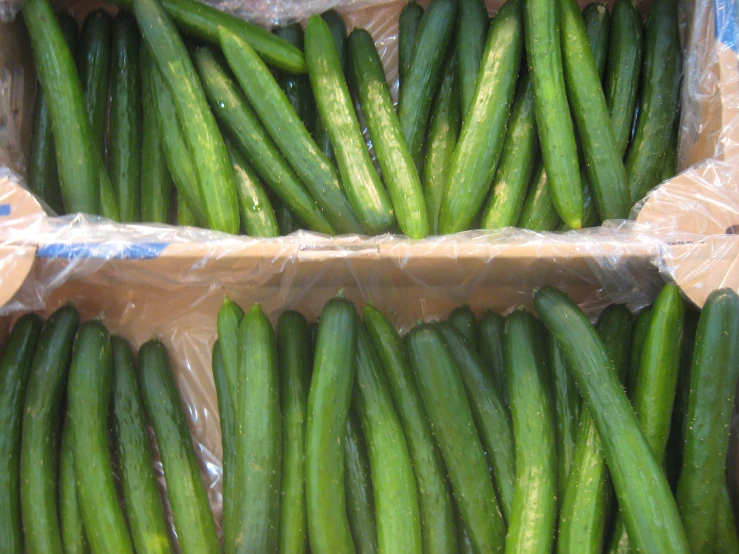 there are many large green beans that are in plastic bags