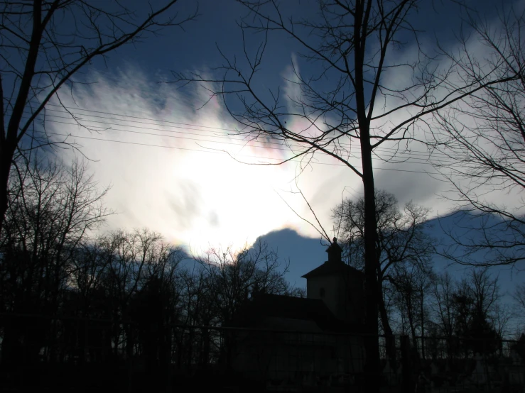 the silhouette of trees against the dark sky