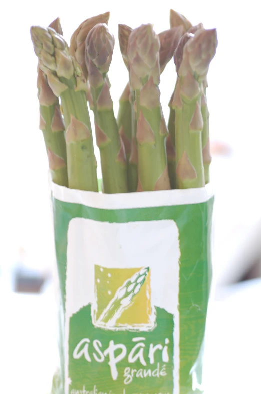 asparagus in a flower pot on a white table