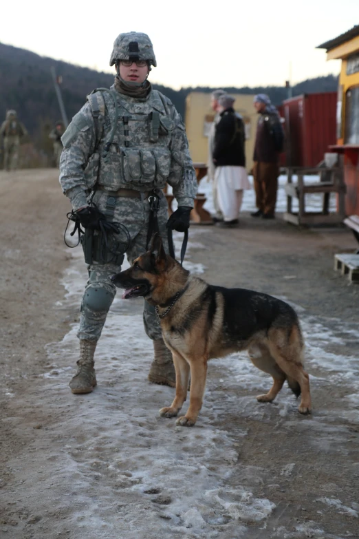 a soldier with his dog on the road in a snow field