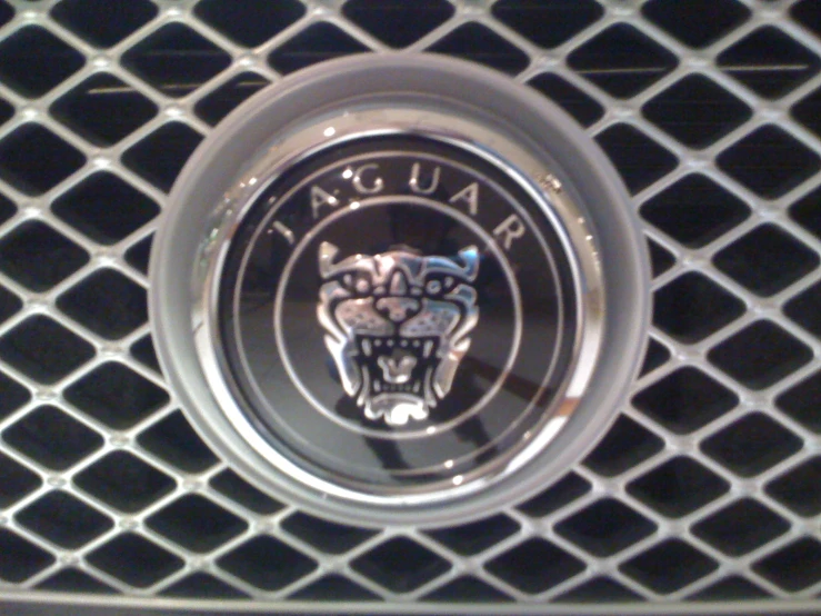 the emblem of a jaguar car on a grill