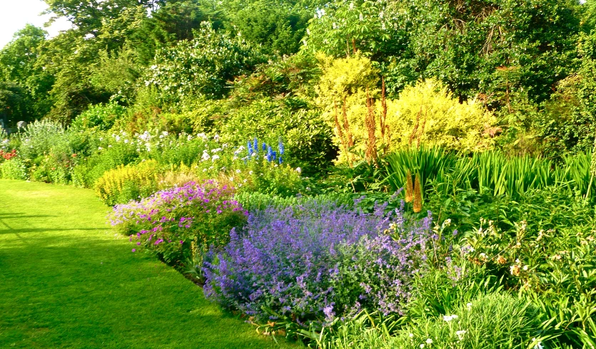 a very pretty garden with many different flowers