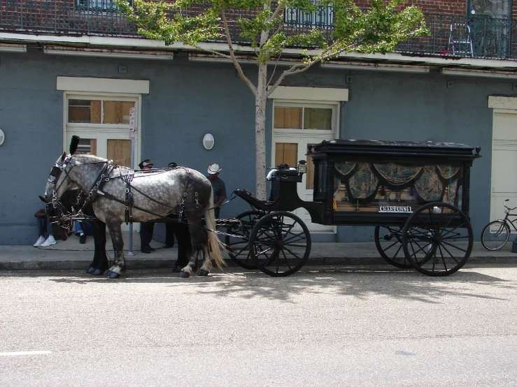 two horses that are standing near a carriage