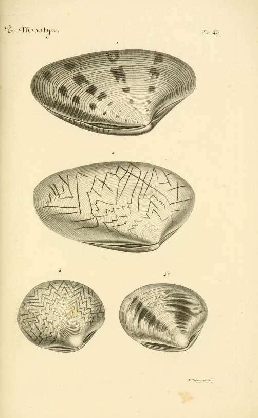 three plates with different shapes and sizes