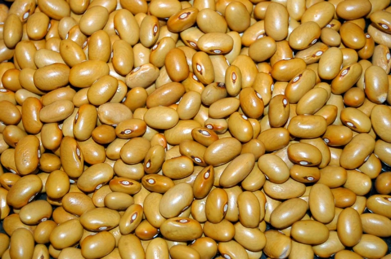 a pile of beans is shown in this image