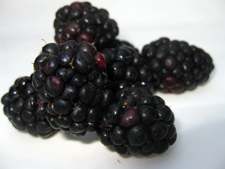 blackberries are scattered on the surface and a few on the plate