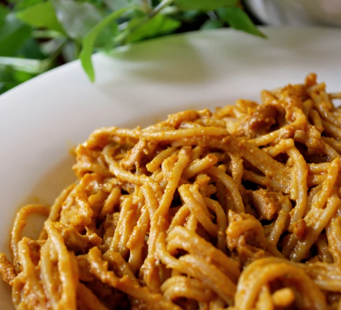 a white bowl with many thin spaghetti noodles