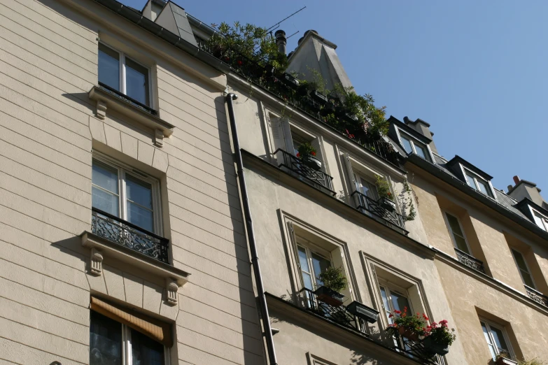 a row of apartment buildings with a green roof