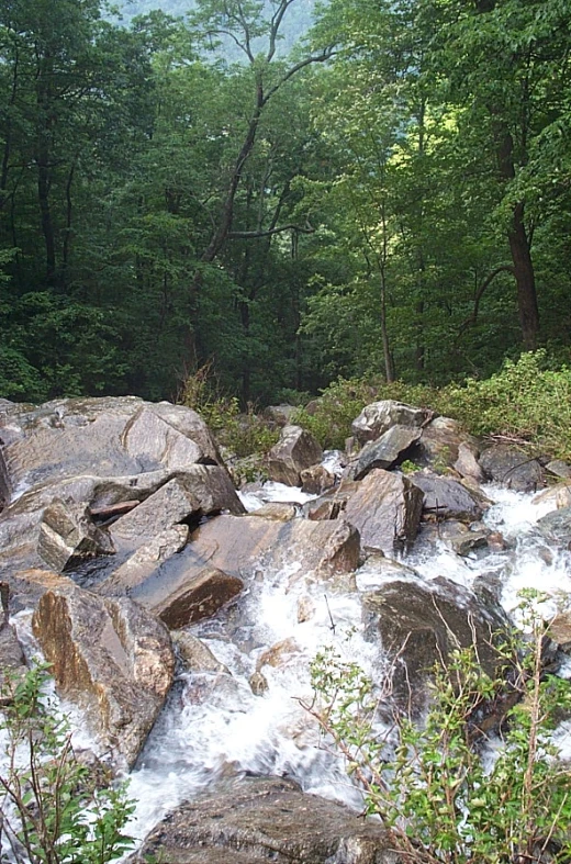 water that is moving in a river next to rocks