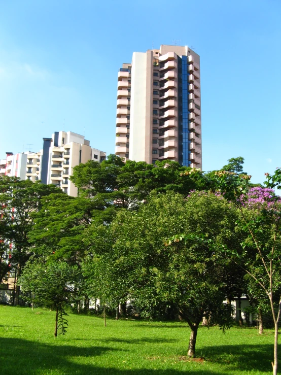 a green grassy field next to some tall buildings