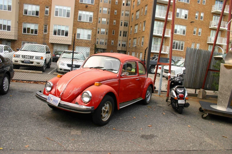 there is an orange beetle on the street