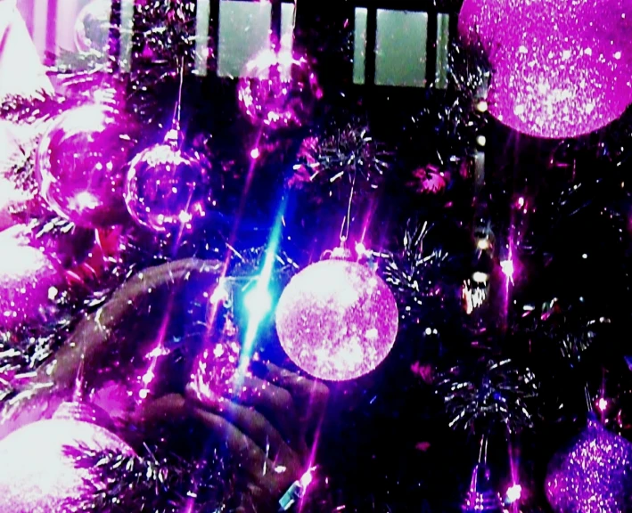 purple glass balls hanging from a tree at night