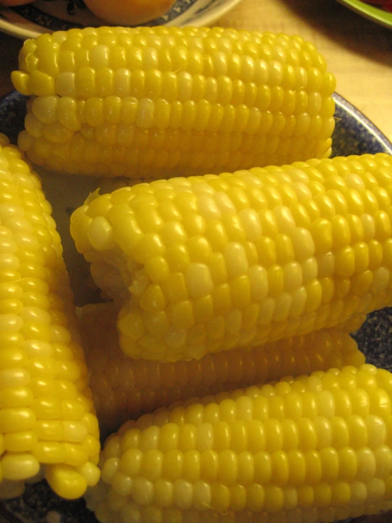 corn is sitting on a plate, next to the bowl