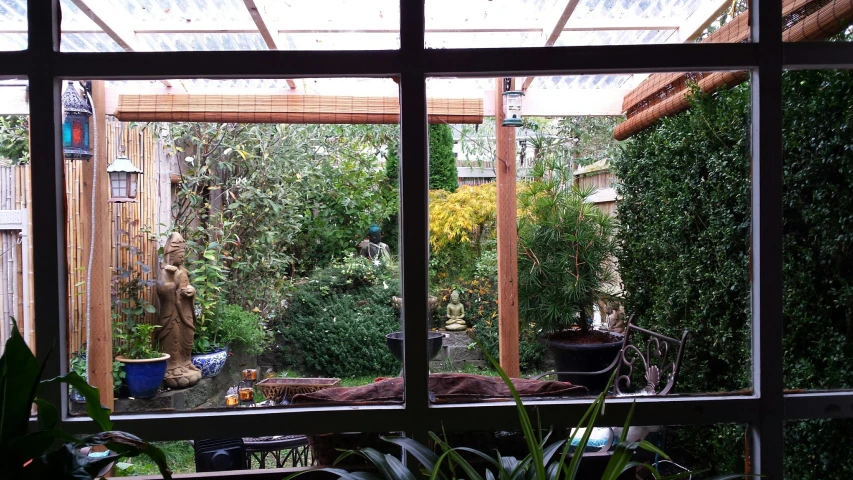 plants in a garden, while looking outside from a window