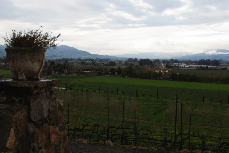 there is a flower pot on the fence with many hills in the background