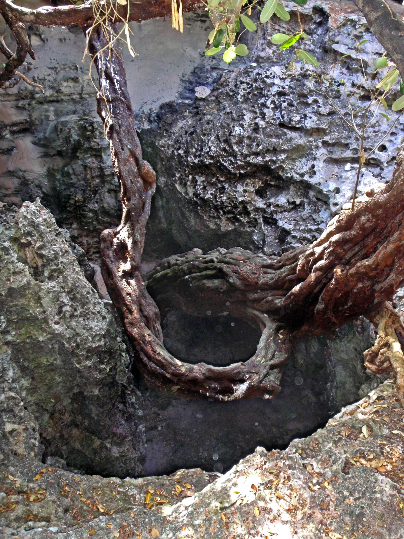 a close up view of an open hole in the rock