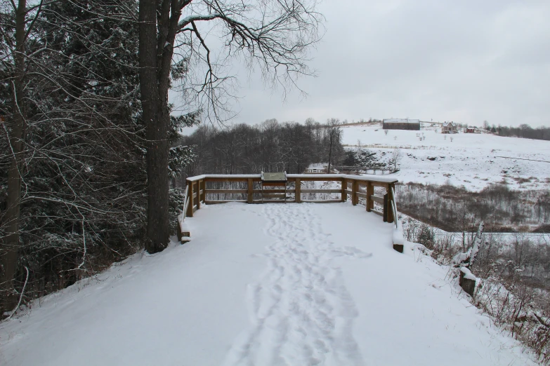 a snowy path leading into the woods toward a bench