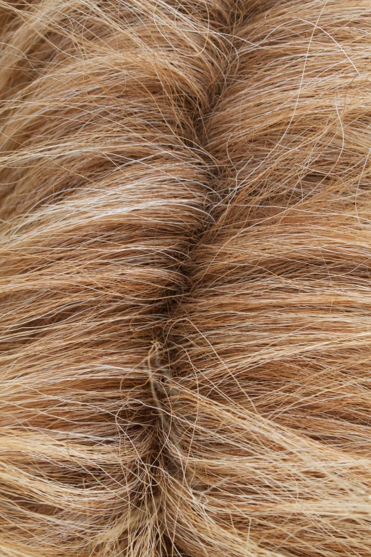 the side of a brown hair with streaks