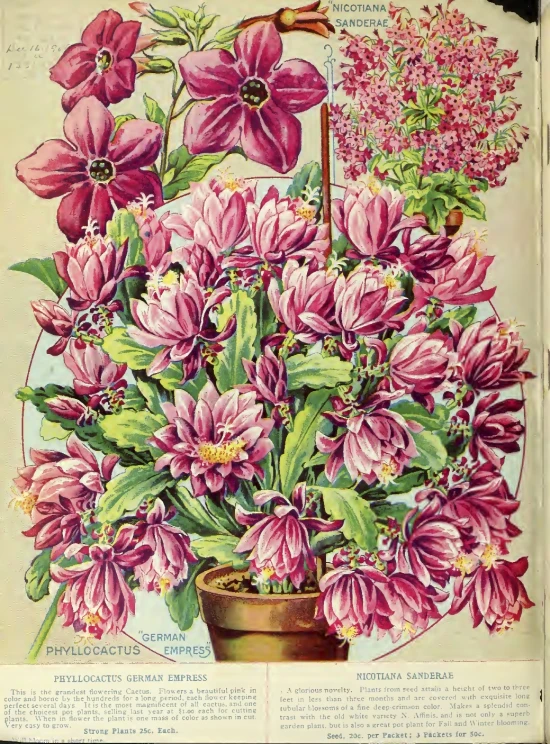 an old magazine with flowers and flowers on the page