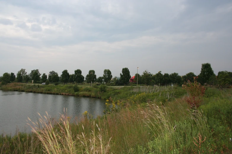 the water at this park has many trees in it