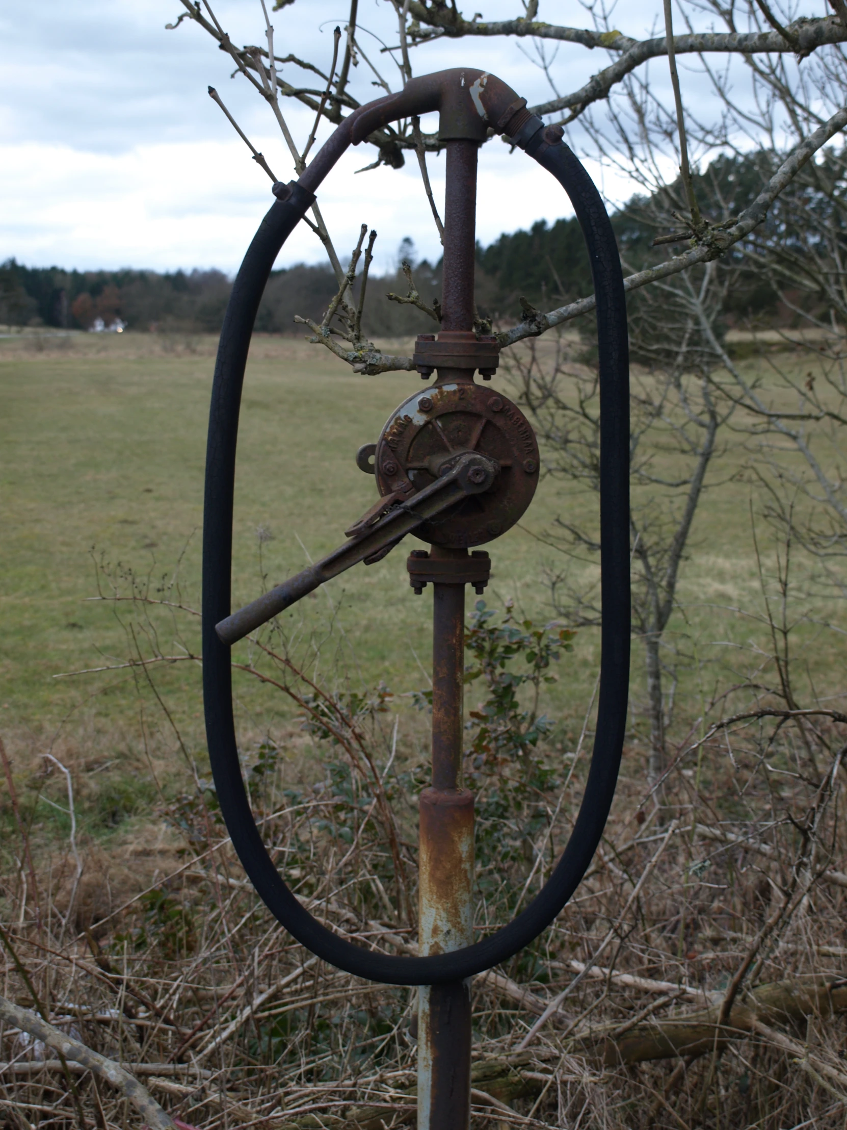 an old rusted metal pole and mirror in the woods