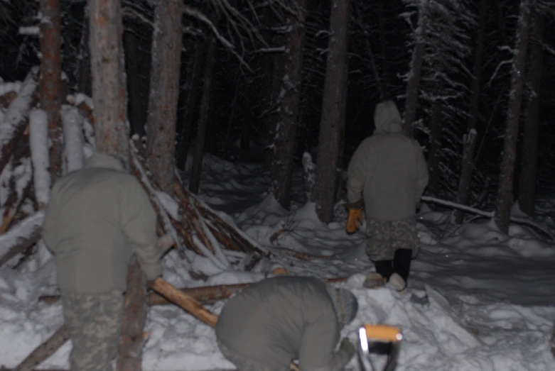 several people are standing in the woods with logs and shovels