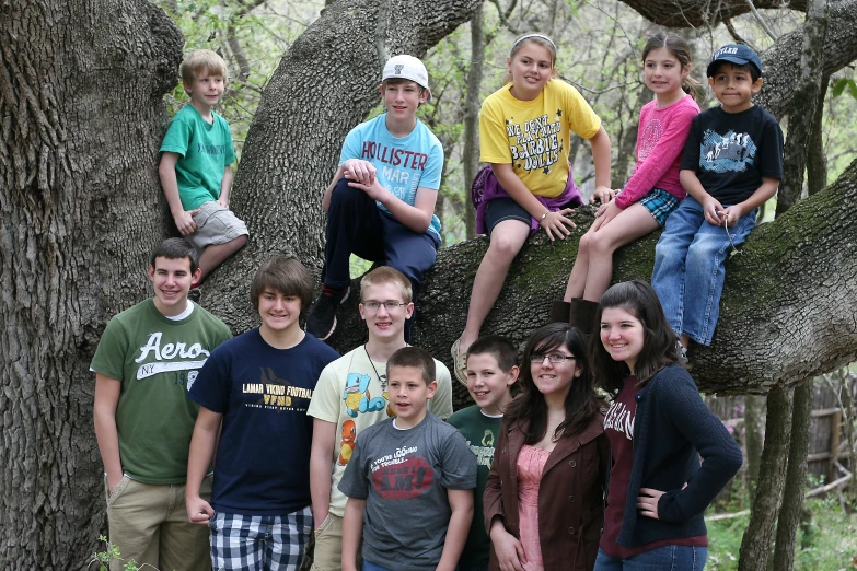 a group of s are on a tree limb