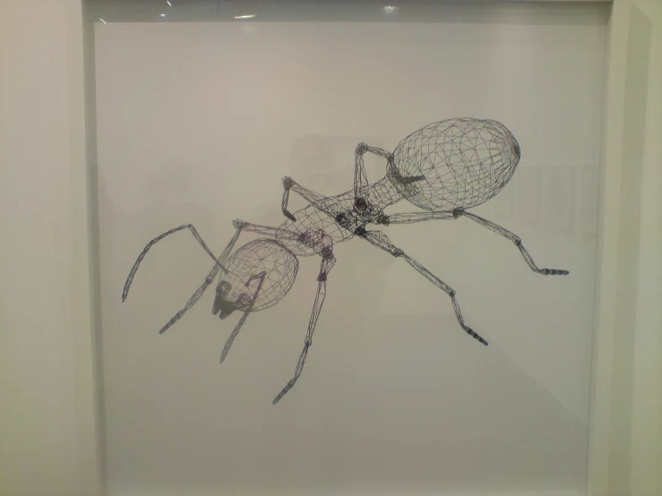 a spider with its head cut out sitting in a glass frame
