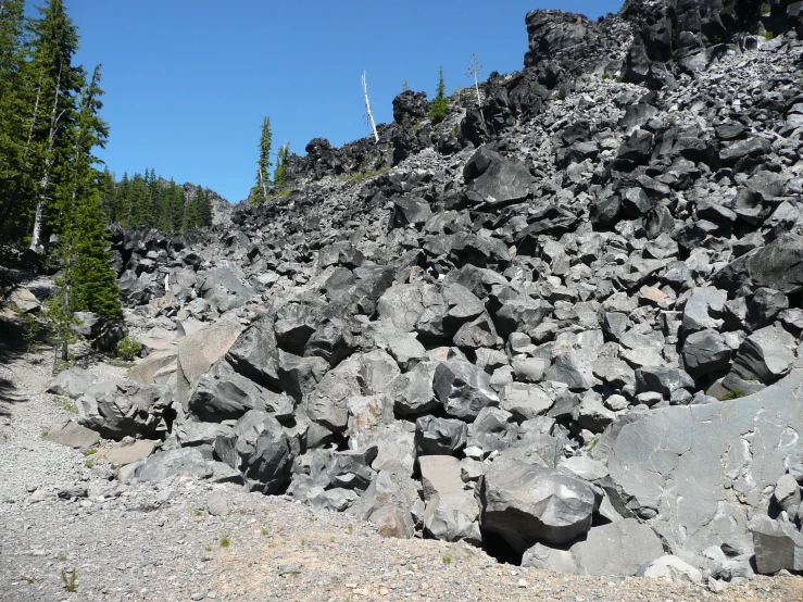 a pile of gray rocks and trees next to the rocks