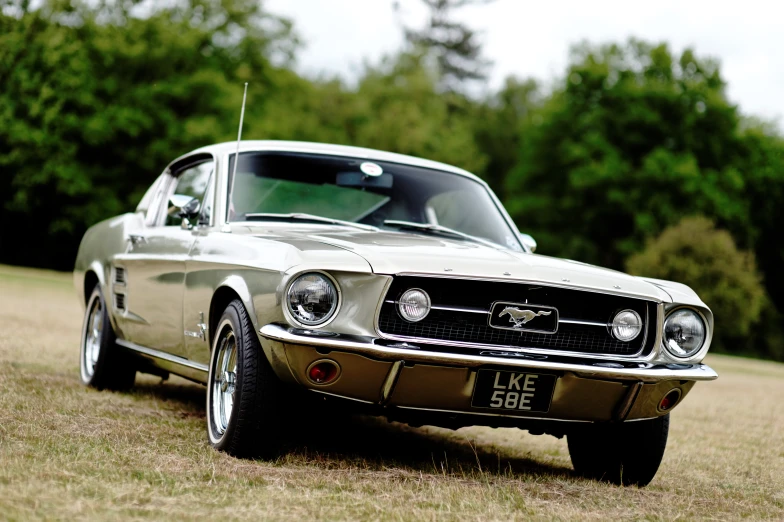 old mustang muscle car parked in grassy field next to trees