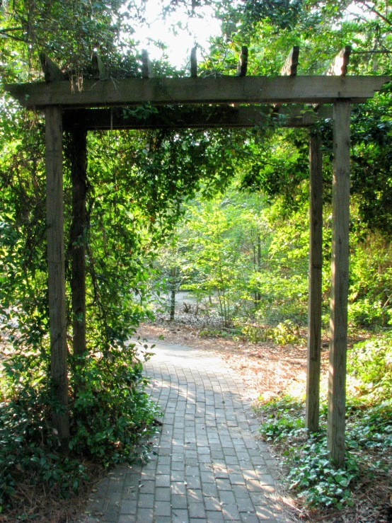 a walkway between two trees with brick walkway