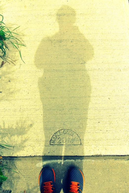 a shadow on a sidewalk of a person's shoes, and a potted plant in the foreground