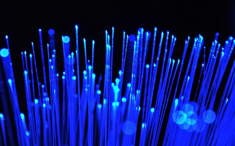 many blue sticks with white dots are lit by a bright light