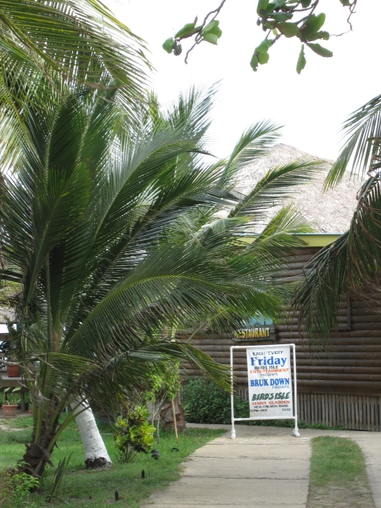 a sign is shown near some palm trees