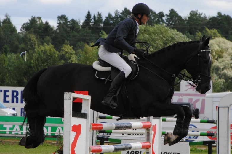 a person riding a horse jumping an obstacle