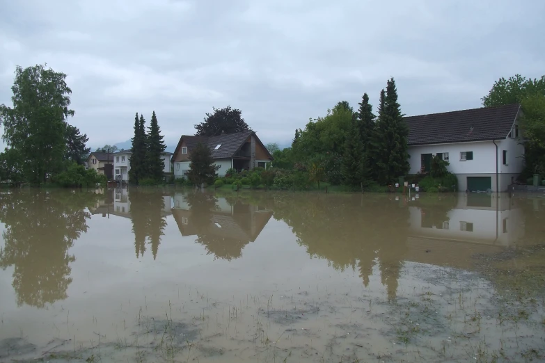 a house on the flooded river with many trees