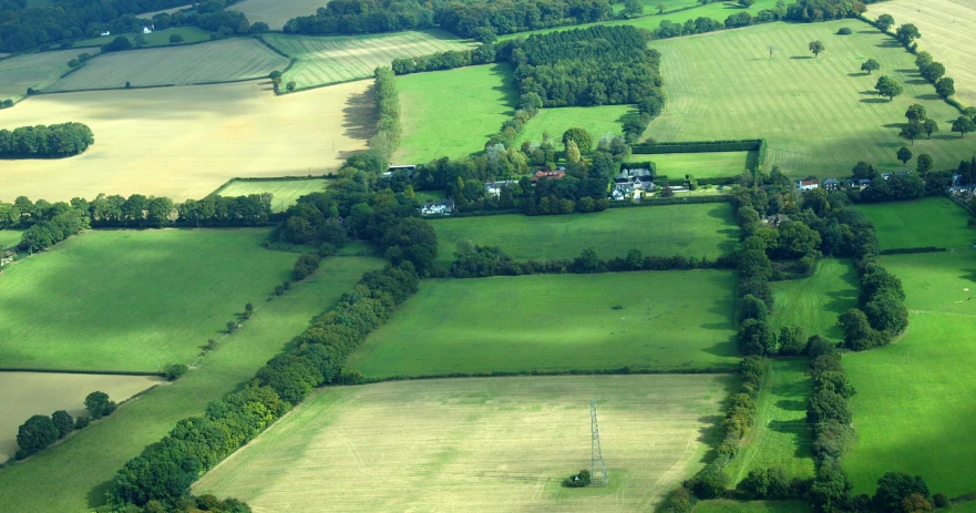 a large expanse of land surrounded by trees