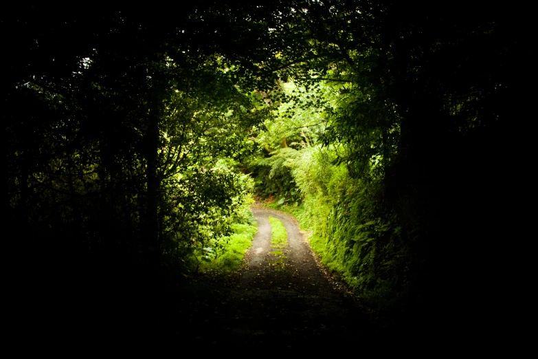 a dimly lit path with an archway at the end