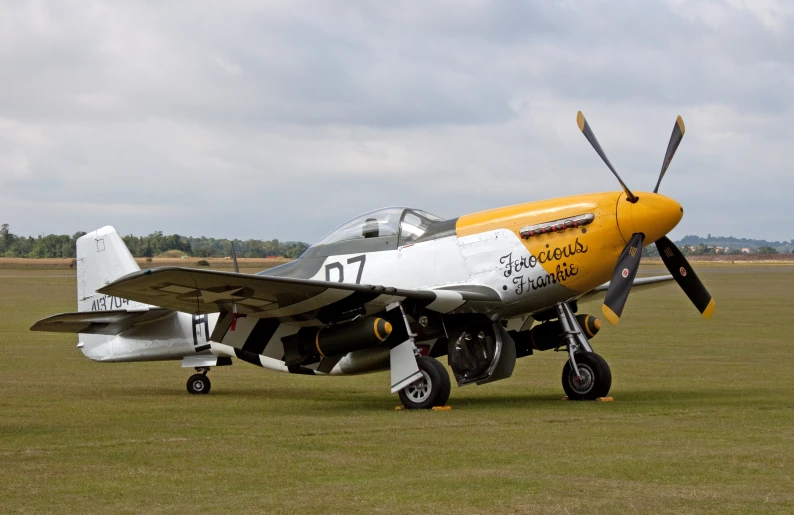 a airplane on the ground in an open area