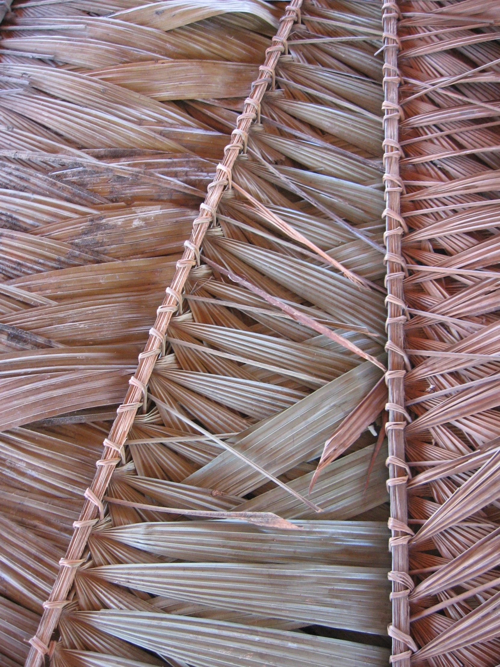 the underside of a thatched roof with straw strips arranged in front