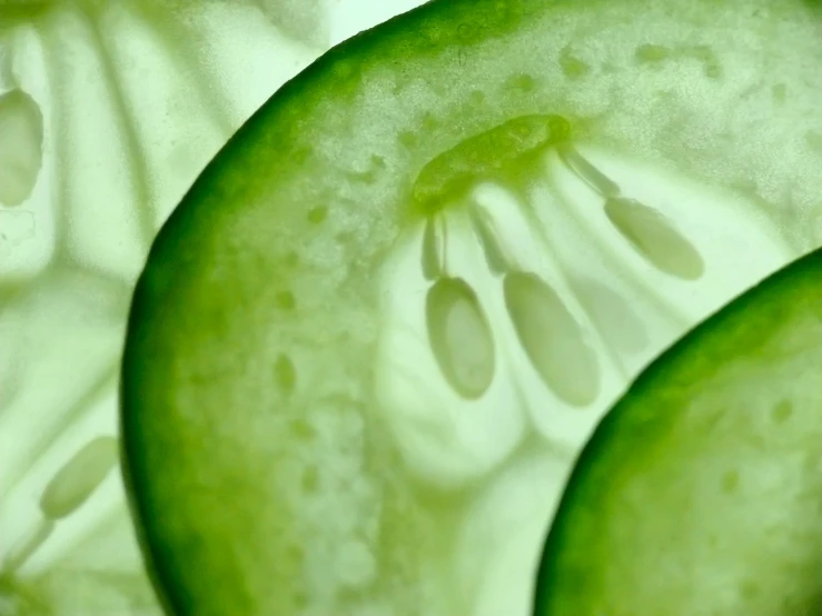 a close up image of green cucumber slices
