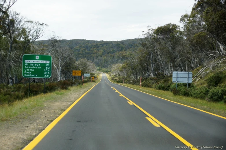 a wide road next to a forest with trees