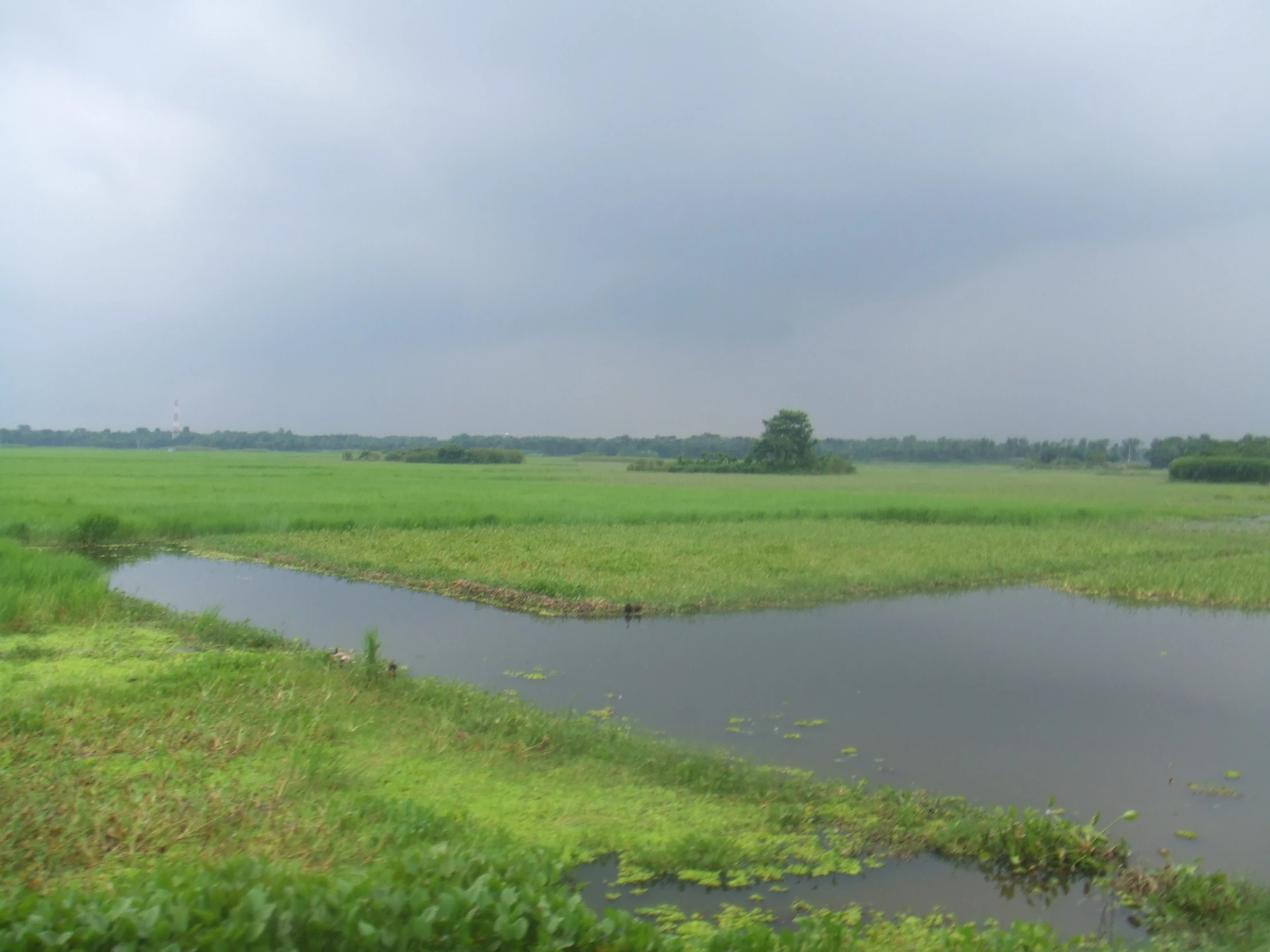 a large body of water surrounded by lush green grass