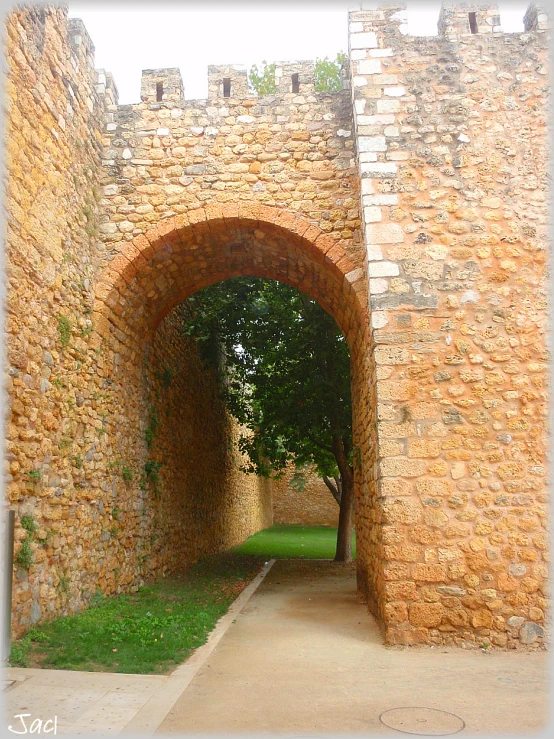 the entrance to a path leads to a tree