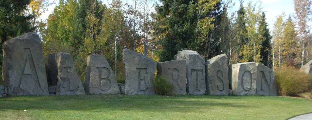 a long line of rocks on grass near trees