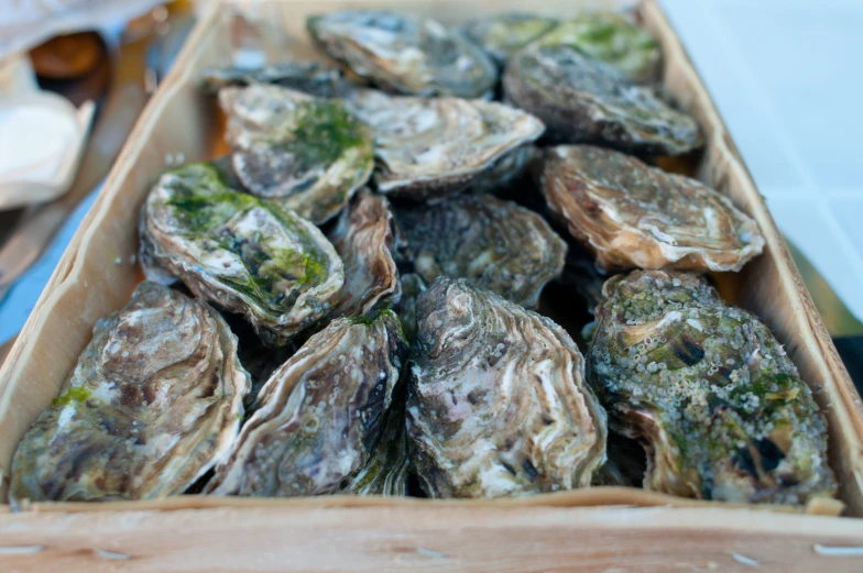 a bunch of clams in a wooden box